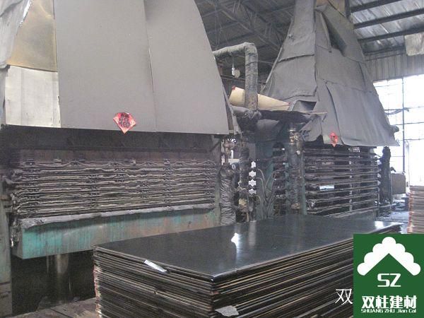 建筑模板生產(chǎn)車間 (2).jpg