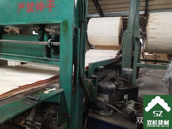 建筑模板生產(chǎn)車間 (8).jpg