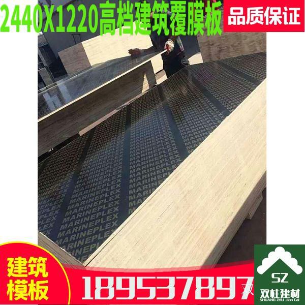 ����ģ�����a܇�g (65).jpg