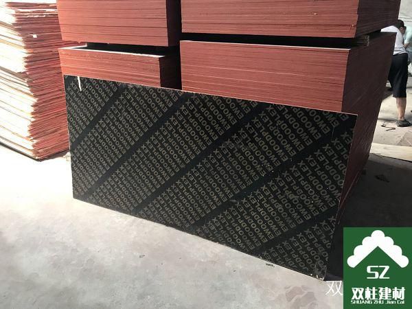 ����ģ�����a(ch��n)܇�g (145).jpg